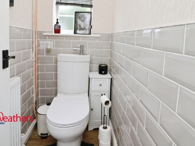 Picture 14